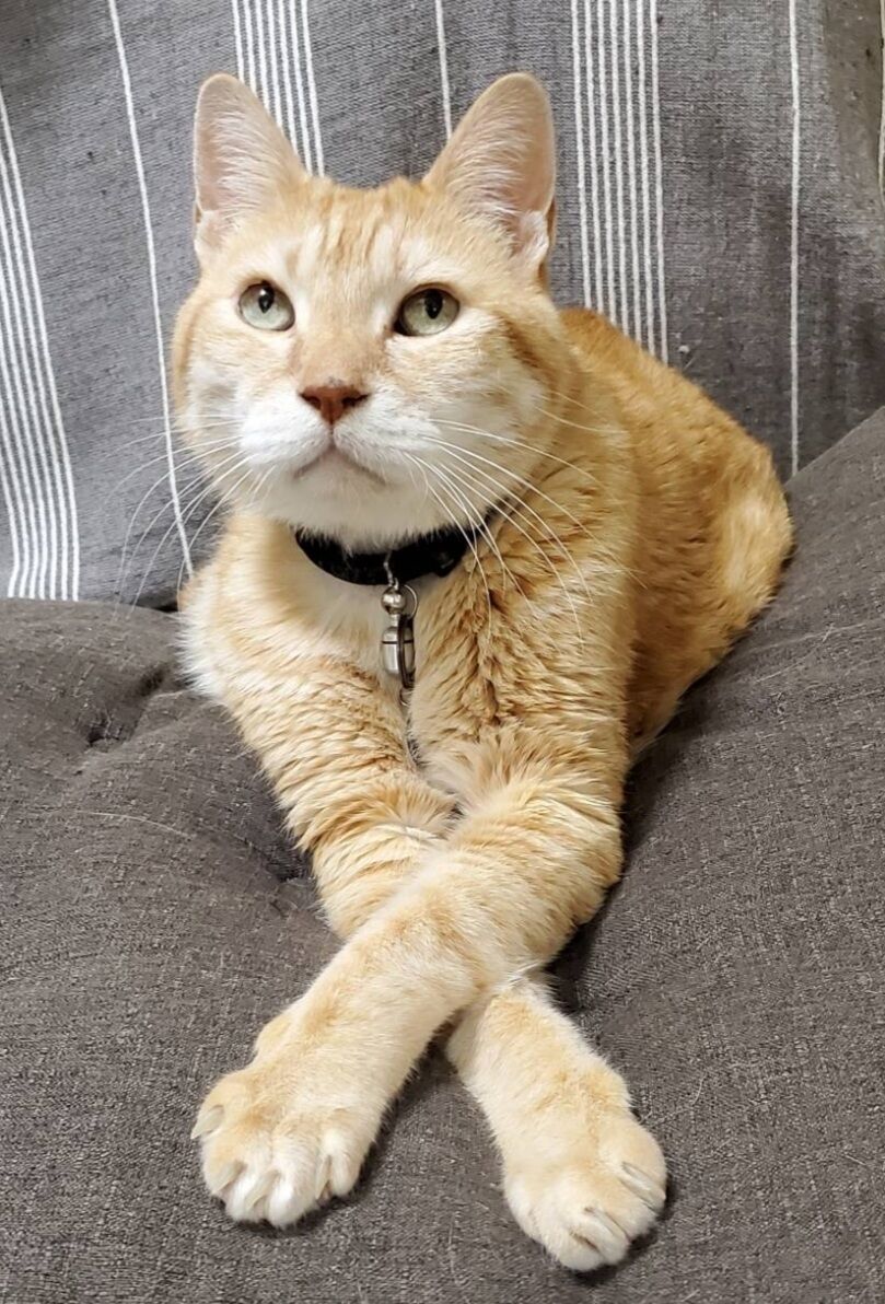 Screenshot_20260118-212153_LINE