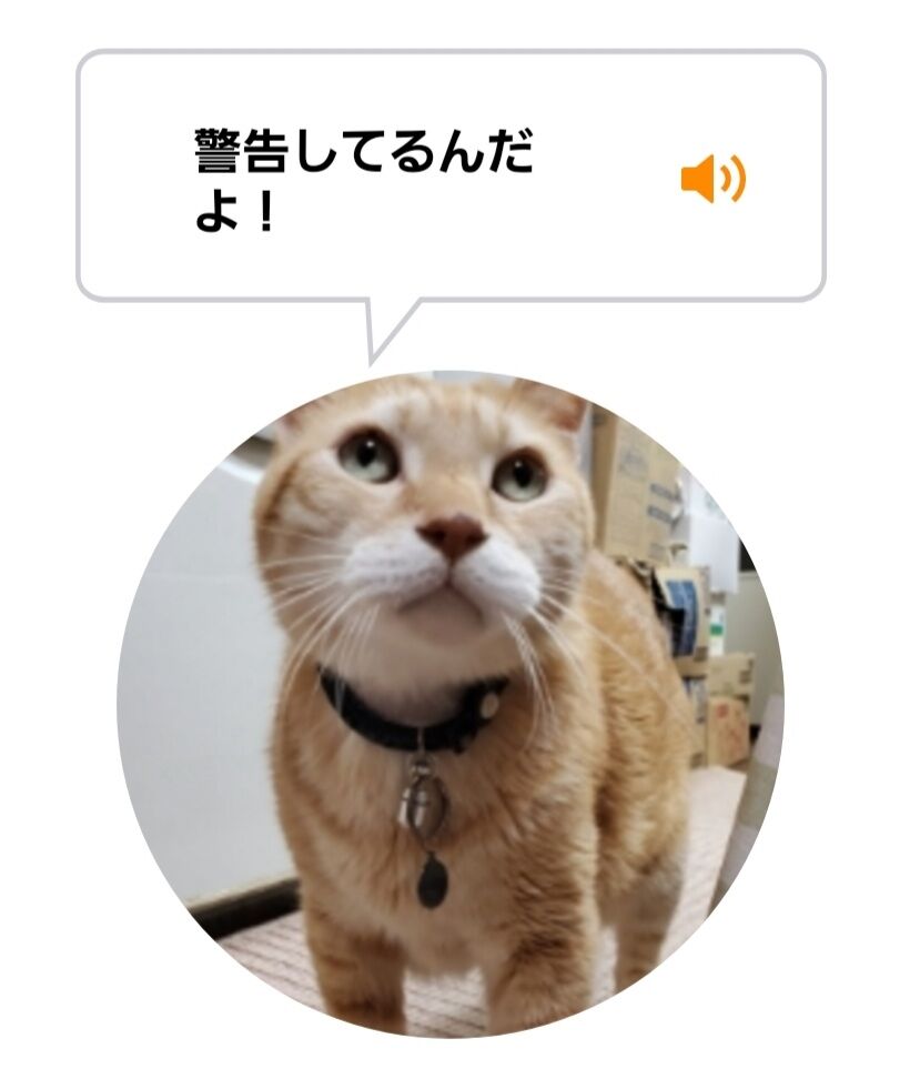 Screenshot_20220201-133059_MeowTalk