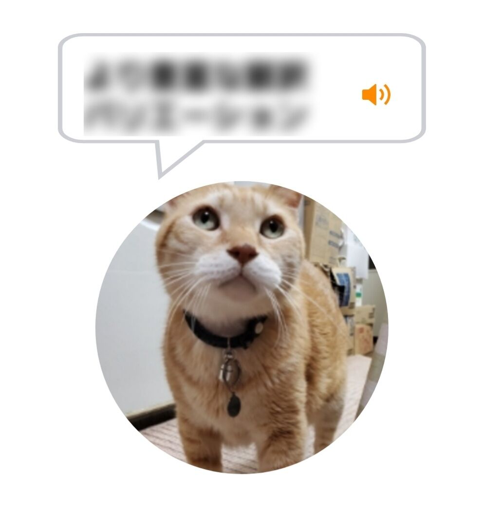 Screenshot_20220102-190625_MeowTalk