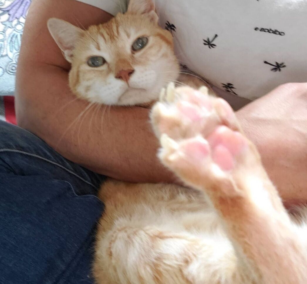 Screenshot_20250629-005320_LINE