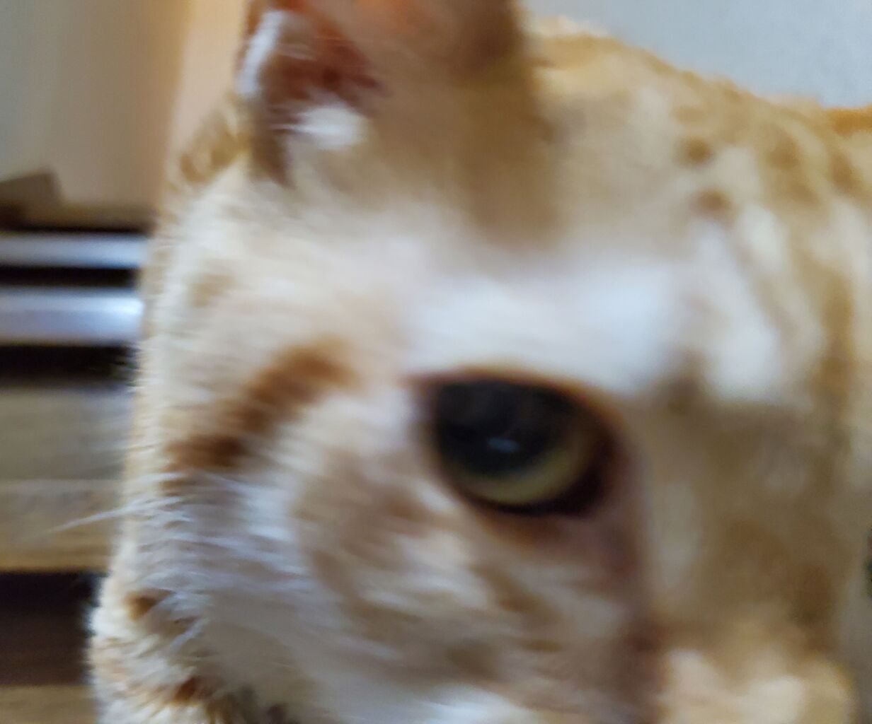 20220703_122600