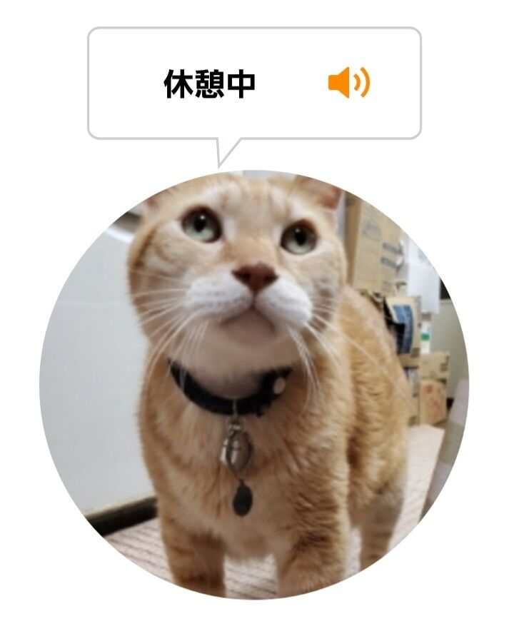 Screenshot_20220503-212628_MeowTalk