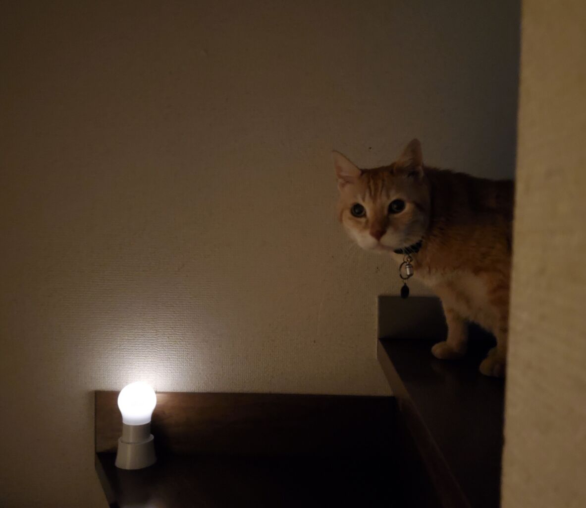 20211231_234436