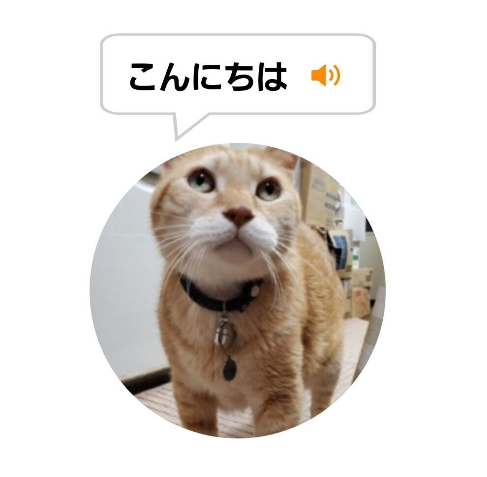 Screenshot_20220101-234527_MeowTalk