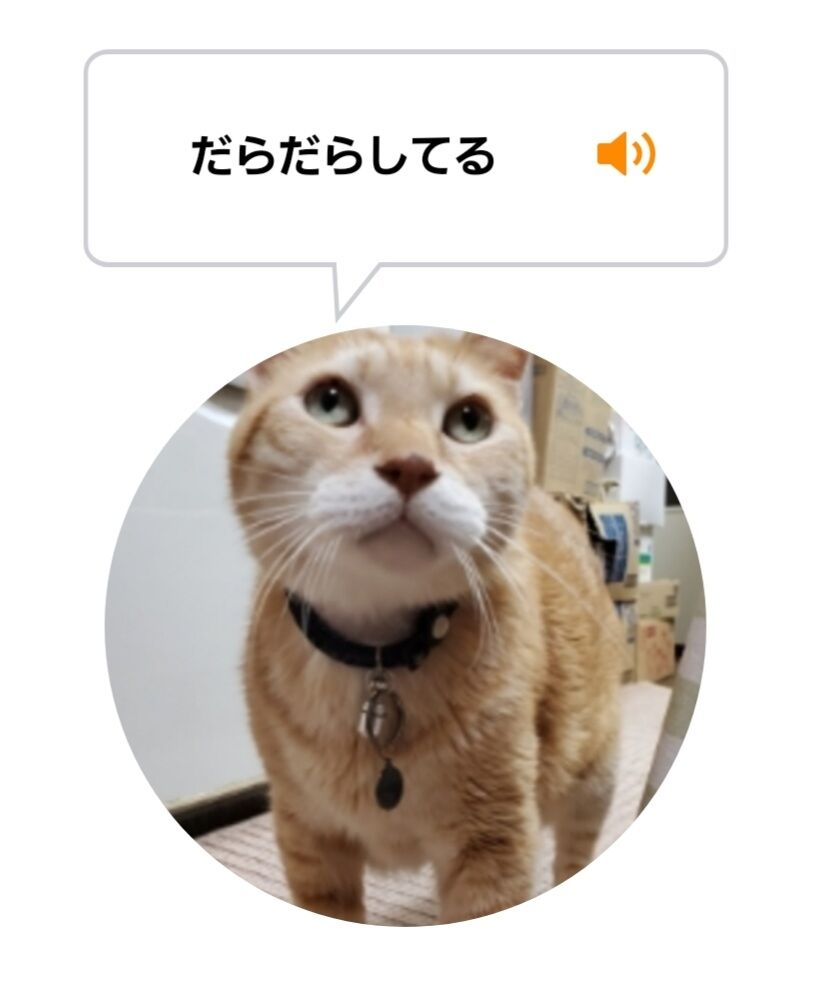 Screenshot_20220503-213436_MeowTalk