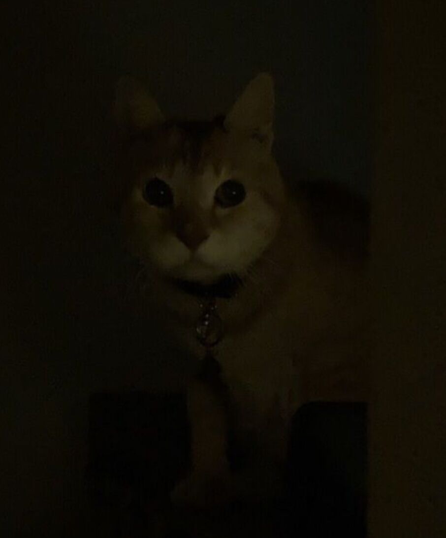 Screenshot_20250508-161114_Internet