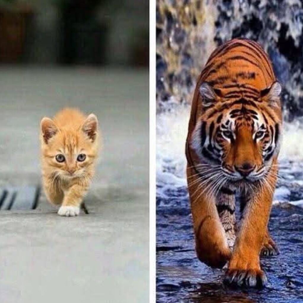 Screenshot_20250626-140306_Facebook