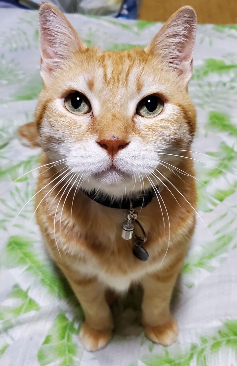 Screenshot_20250713-002843_Gallery