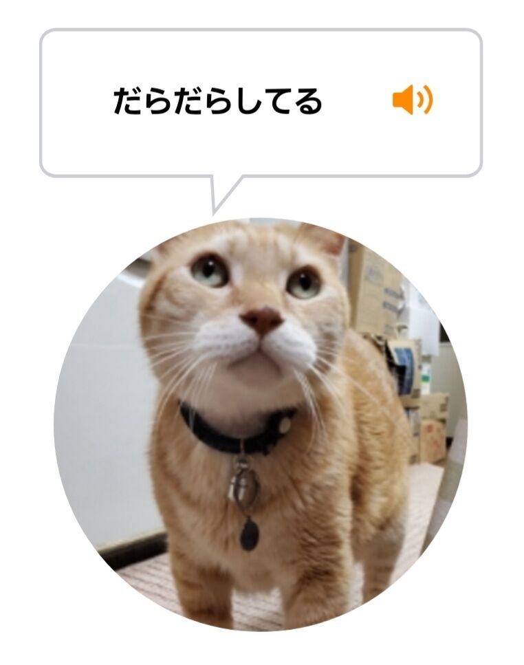 Screenshot_20220213-124150_MeowTalk