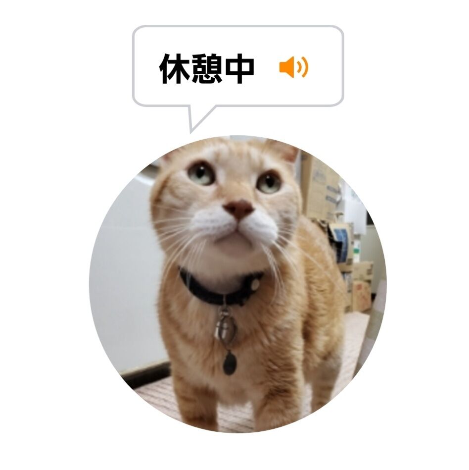 Screenshot_20220125-011305_MeowTalk