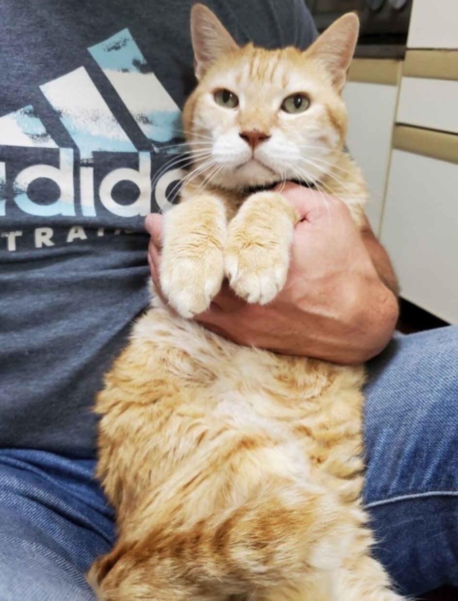 Screenshot_20250212-121549_Internet