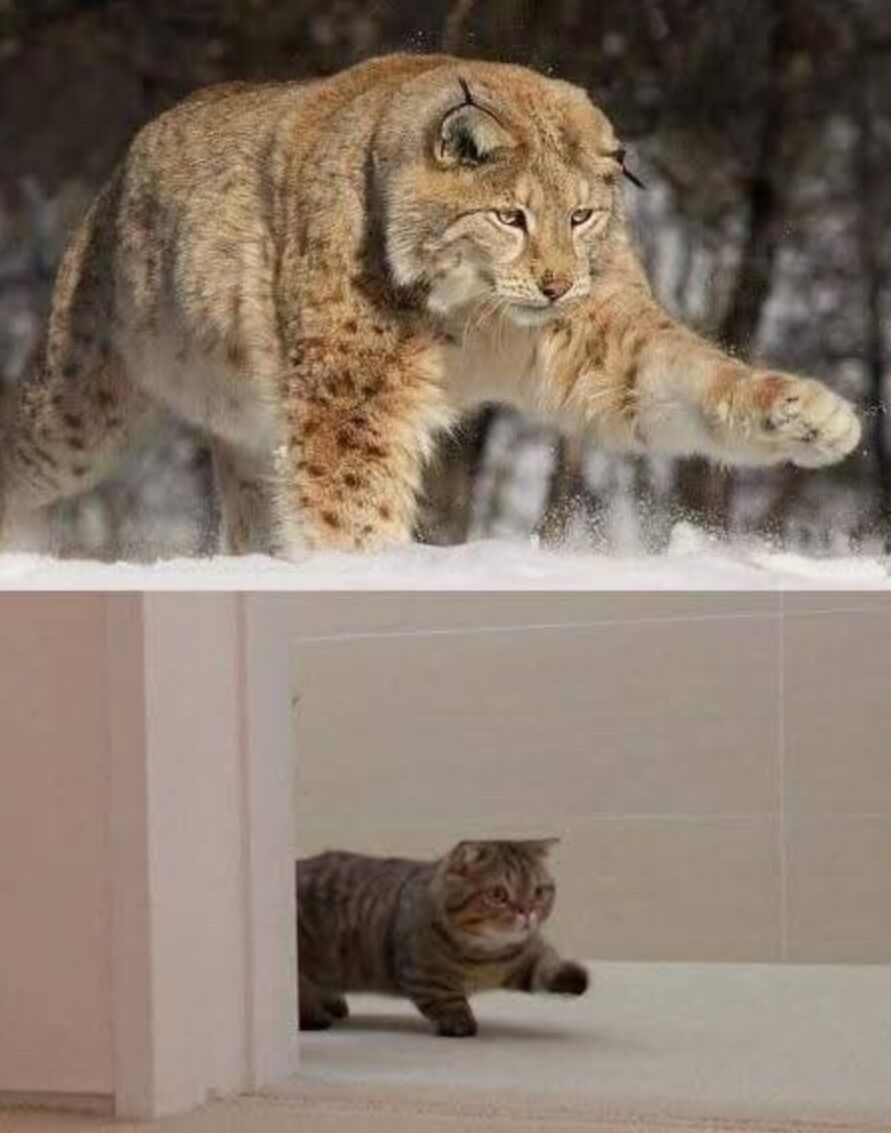 Screenshot_20250622-135555_Facebook