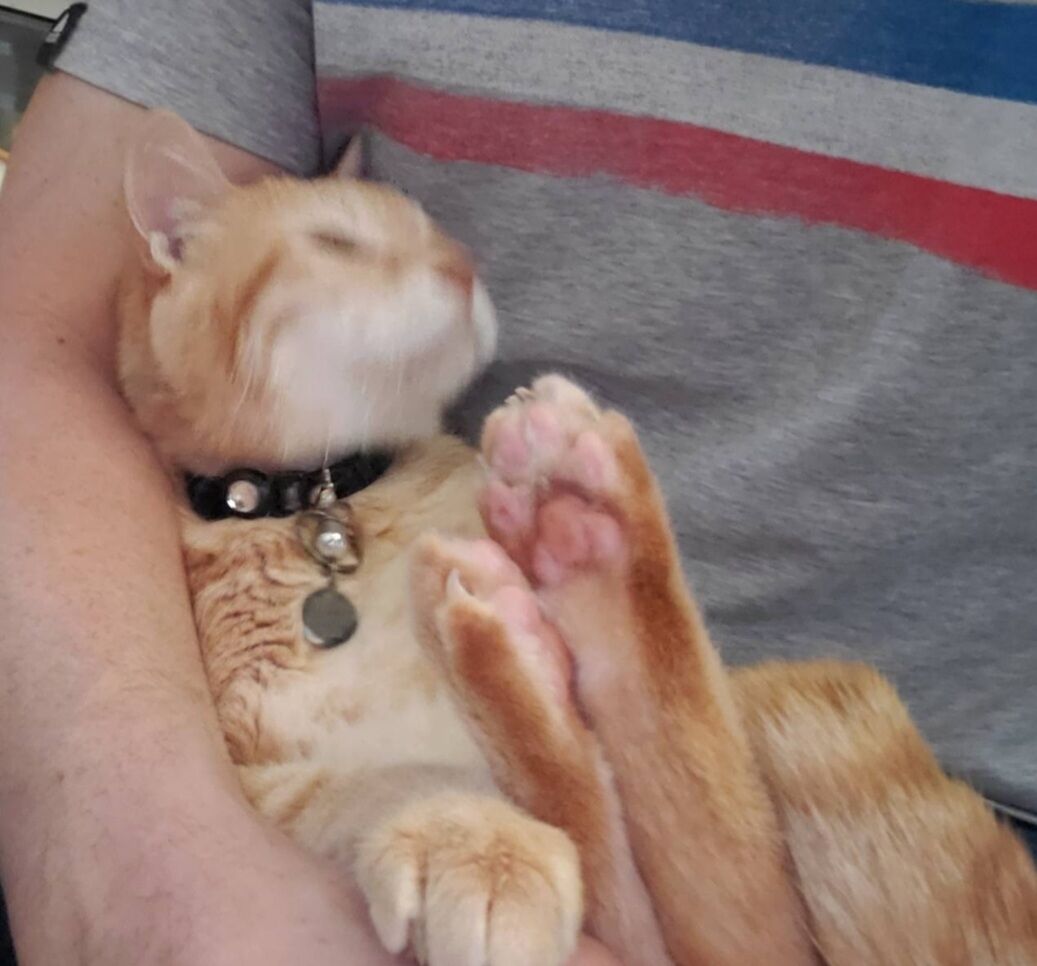 Screenshot_20250601-164932_LINE