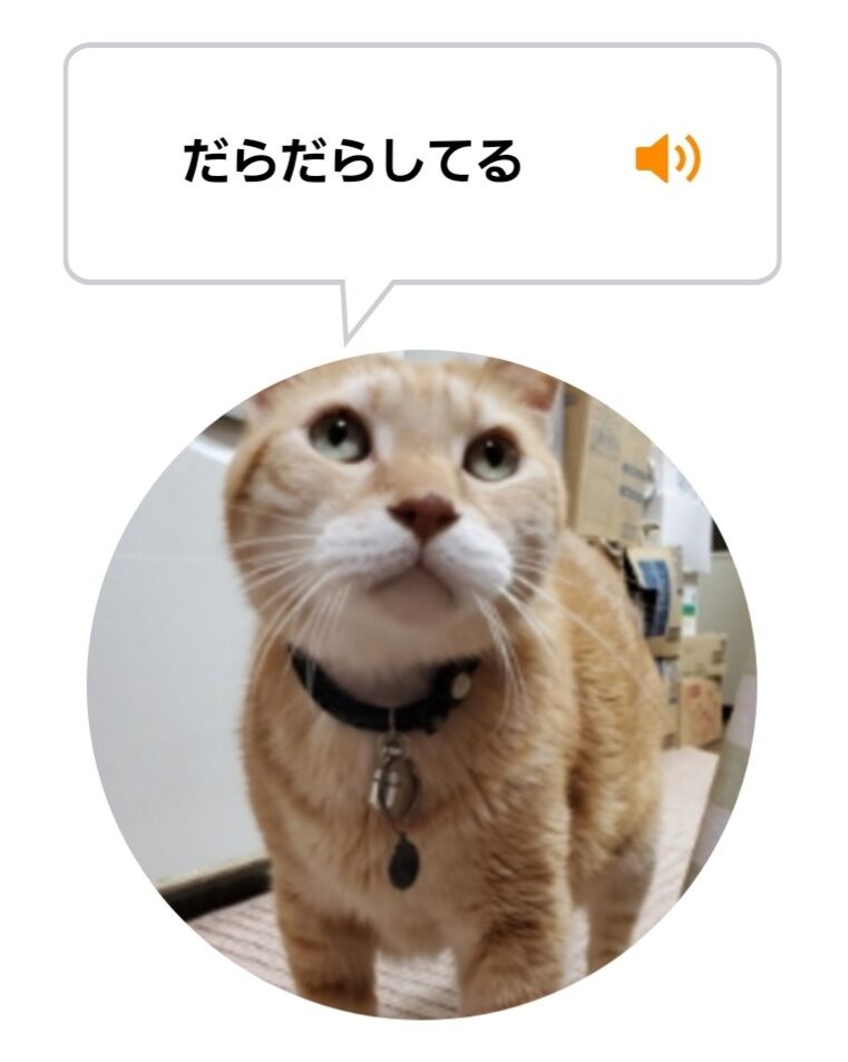 Screenshot_20220206-225432_MeowTalk