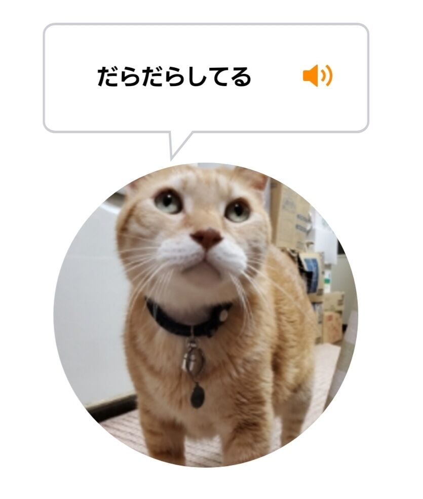 Screenshot_20220718-013943_MeowTalk