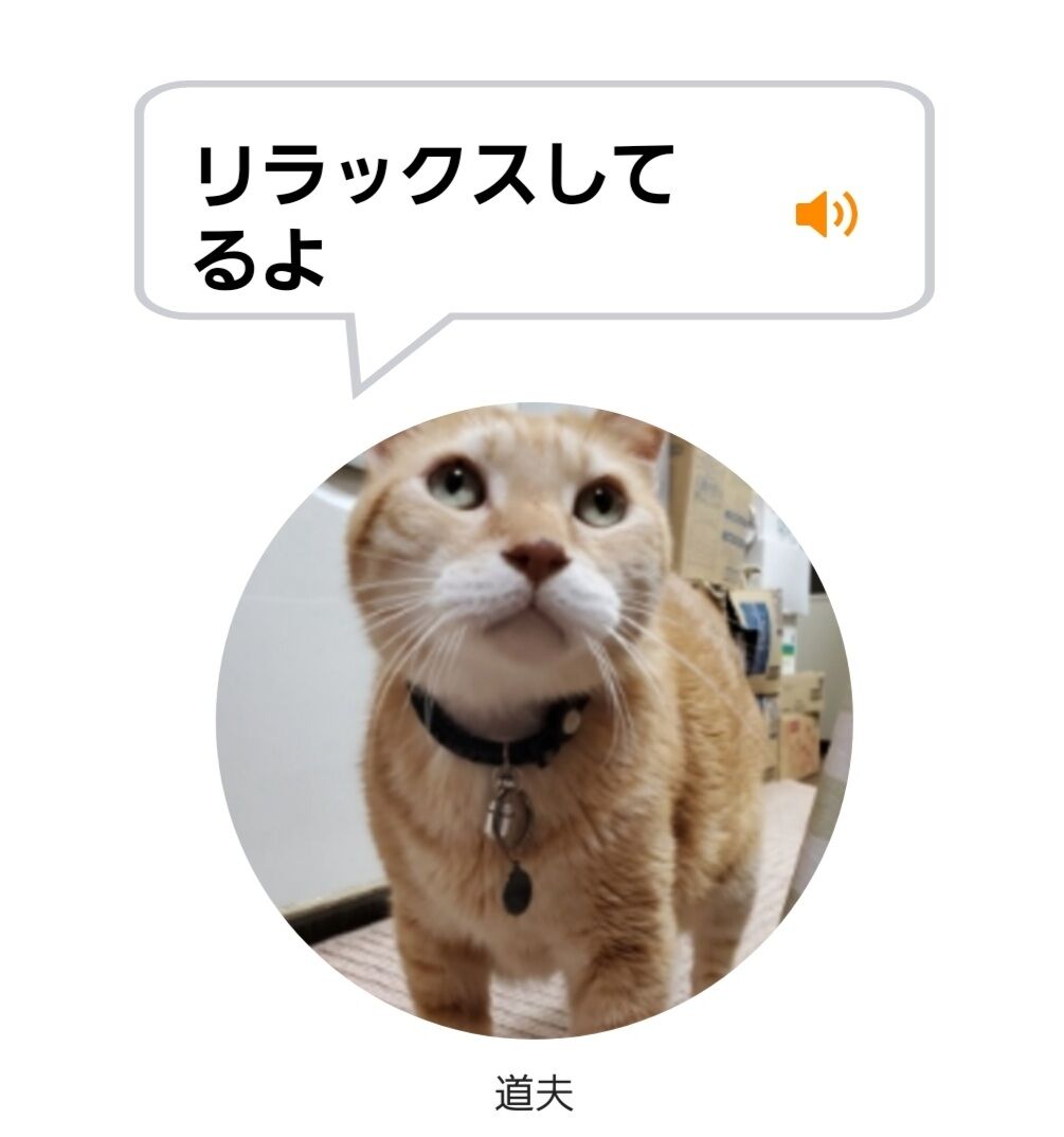 Screenshot_20211027-034025_MeowTalk
