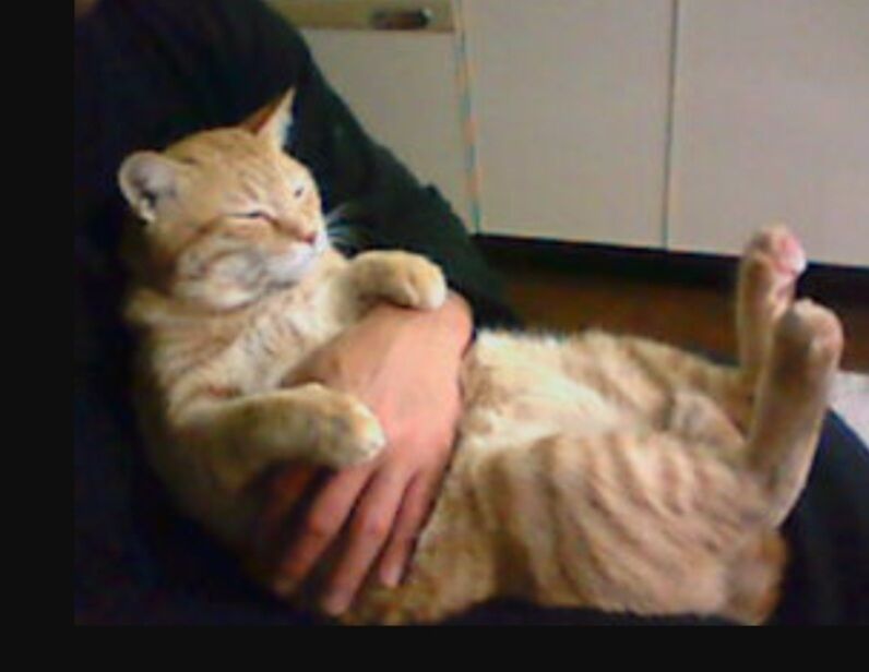 Screenshot_20250815-022848_Internet