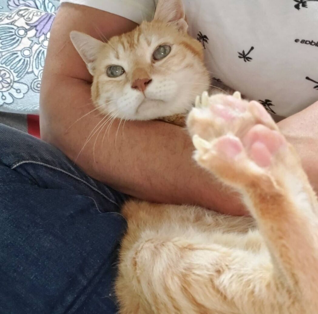 Screenshot_20250629-005335_LINE