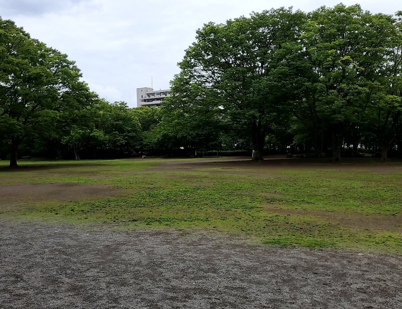 20230514_122957513