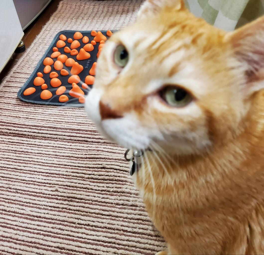 今日の道夫と 足裏いてーよ と道夫カレンダー やまみやけいいちろう日記 今日の道夫と 足裏いてーよ と道夫カレンダー やまみやけいいちろう日記