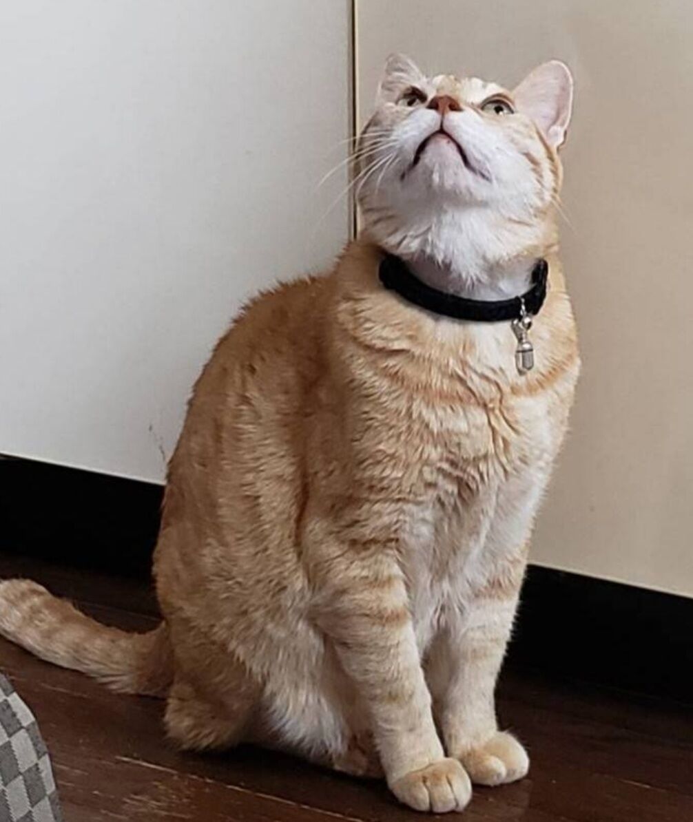 Screenshot_20250615-012001_LINE