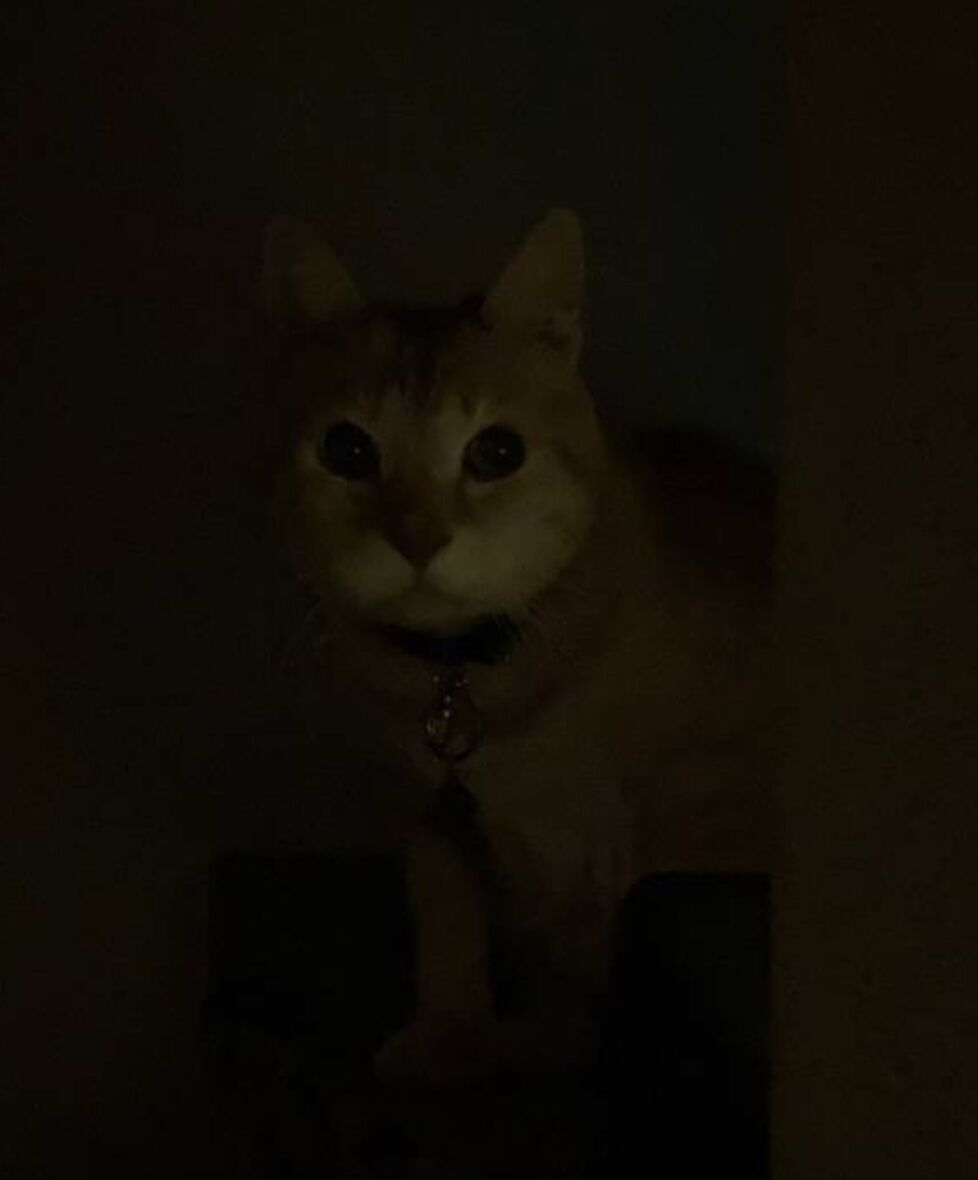 Screenshot_20250622-020812_LINE