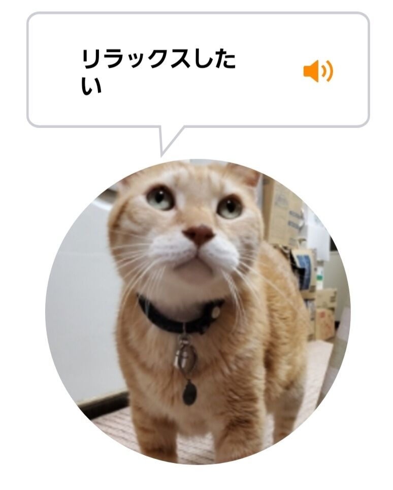 Screenshot_20220524-024637_MeowTalk