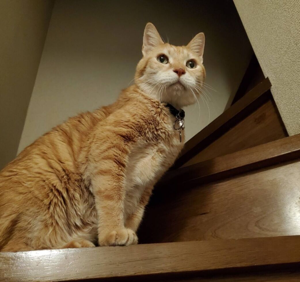 Screenshot_20231112-004006_LINE