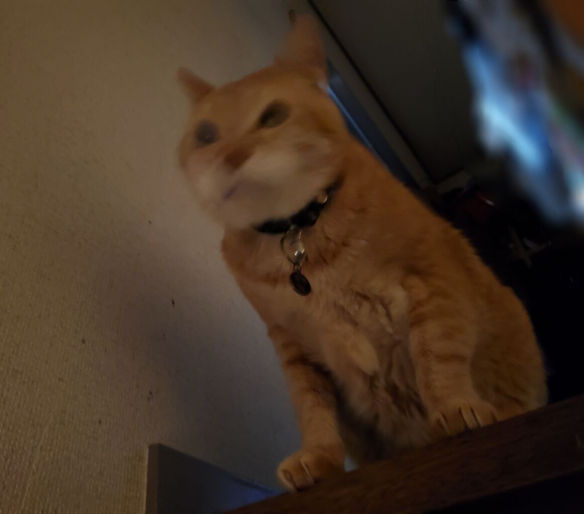 20211231_192452