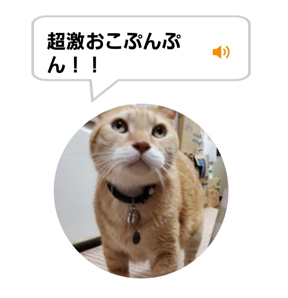 Screenshot_20220125-020350_MeowTalk