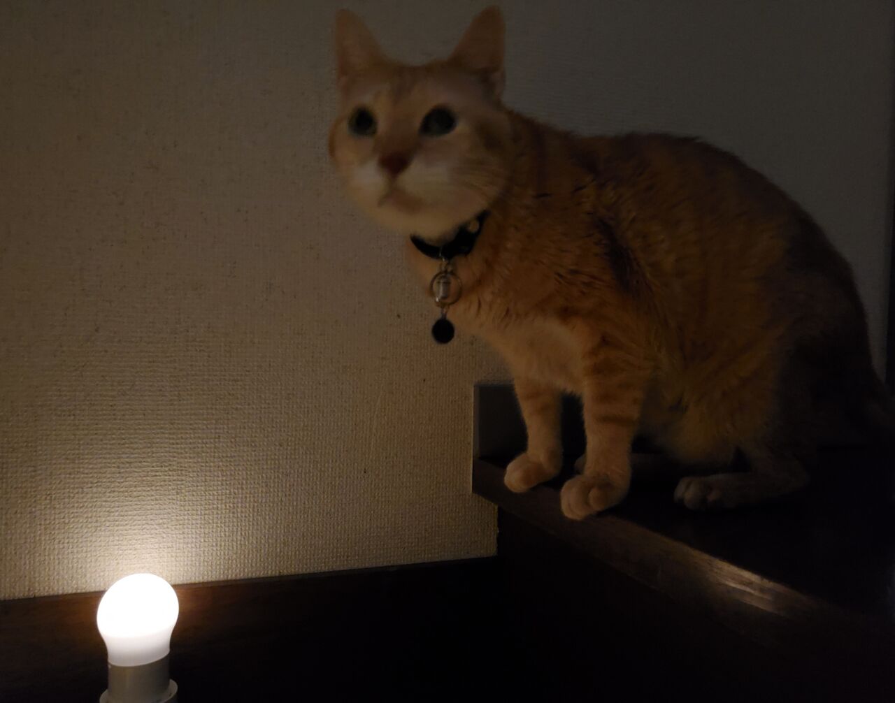 20211230_102755
