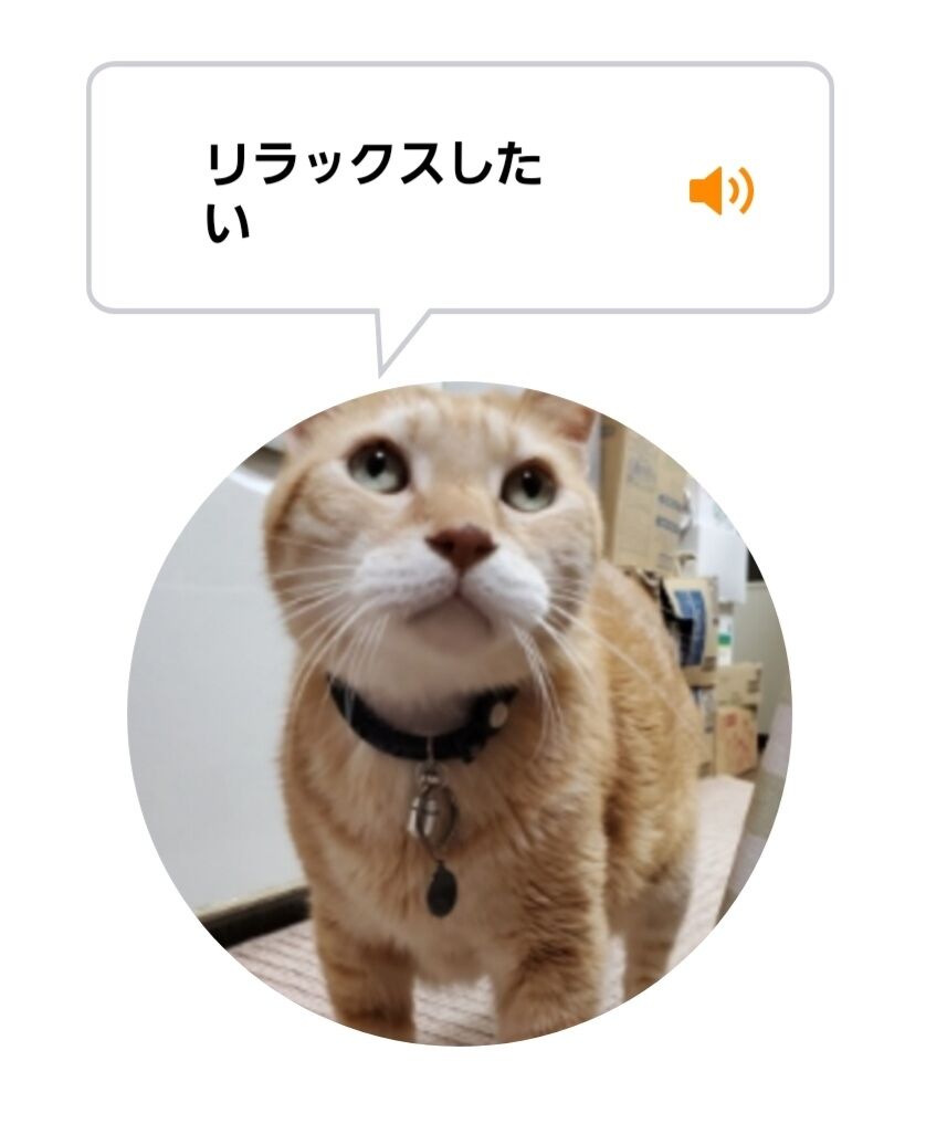 Screenshot_20220718-013831_MeowTalk