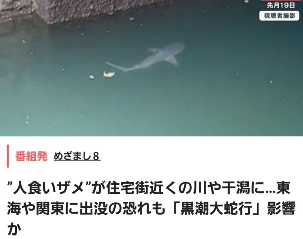 Screenshot_20220623-152658_Internet