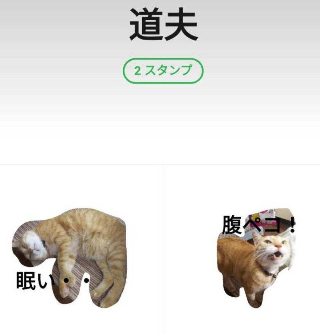 Screenshot_20230319-002401_LINE