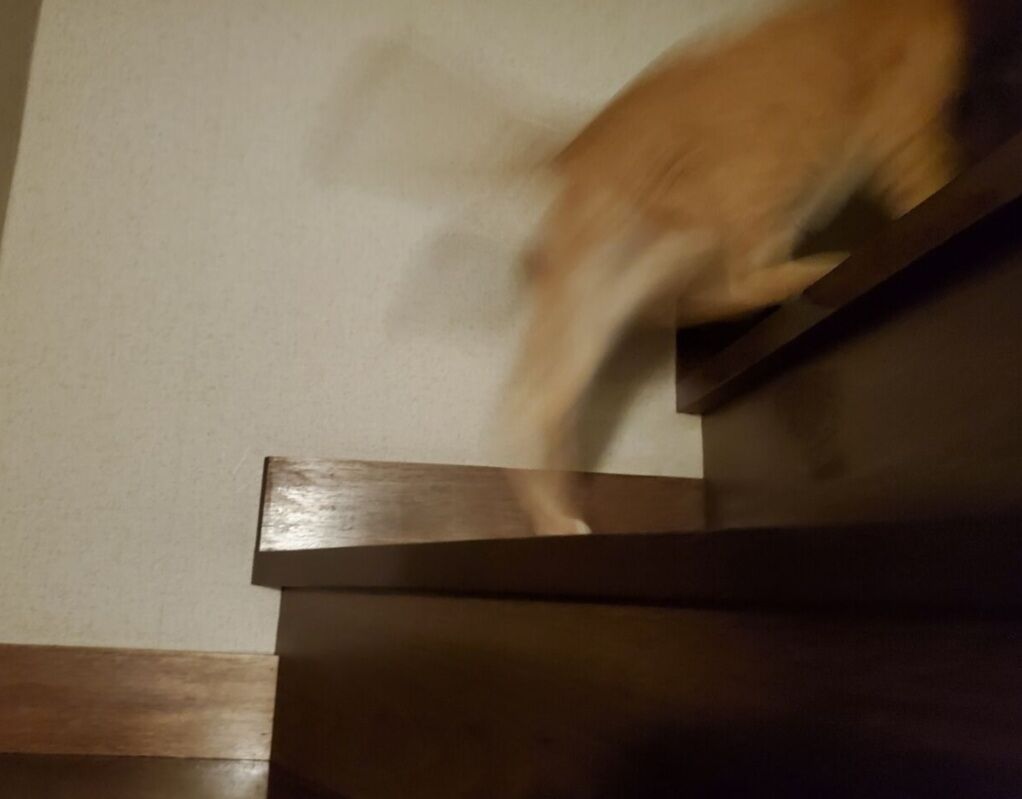 Screenshot_20250321-155235_Internet