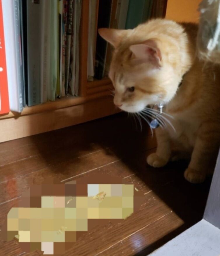 Screenshot_20251209-180234_LINE