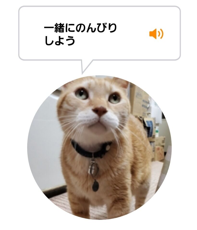 Screenshot_20220719-133231_MeowTalk