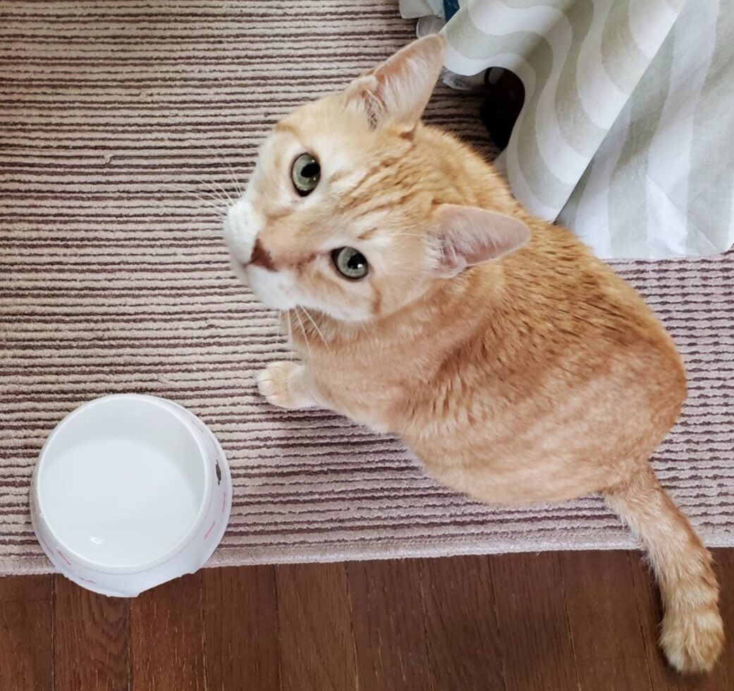 Screenshot_20250601-164858_LINE