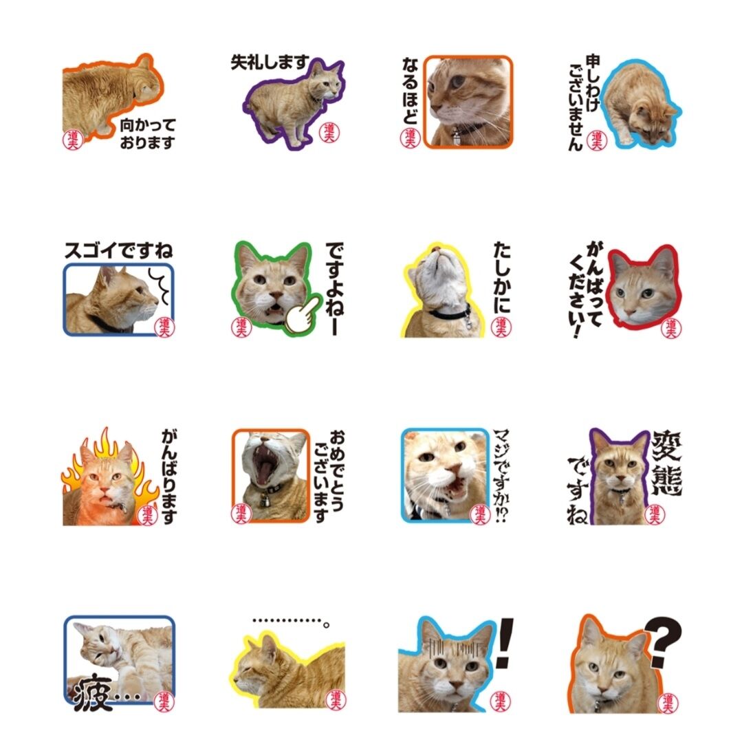 Screenshot_20230319-011945_LINE
