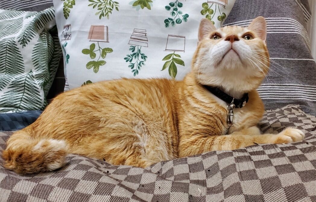 Screenshot_20250713-000730_Gallery