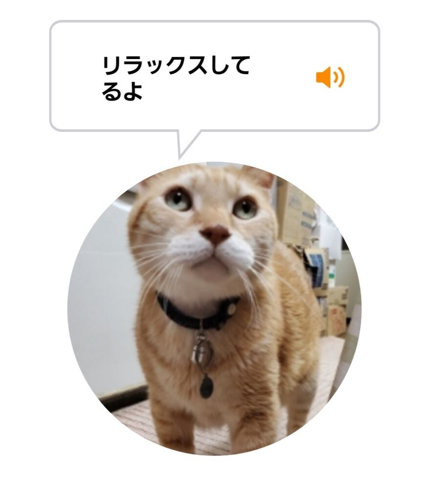 Screenshot_20220718-013744_MeowTalk