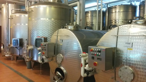 Tour of GranMonte Vineyard (4)