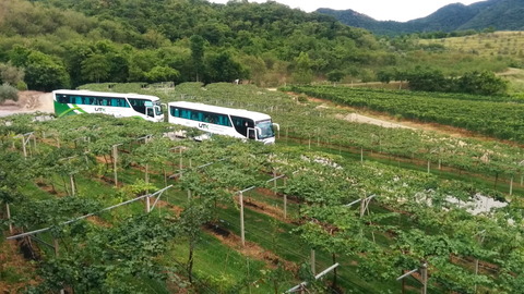 Monsoon Valley Vineyard (7)