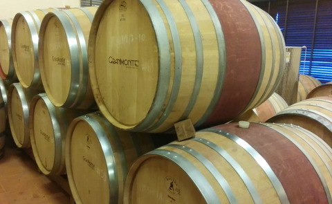 Tour of GranMonte Vineyard (5)