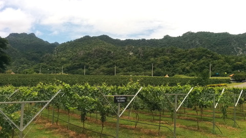 GranMonte asoke valley_06