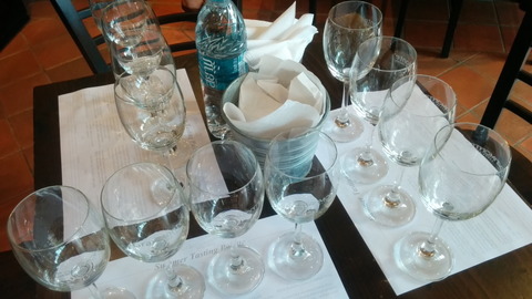 Tour of GranMonte Vineyard (9)