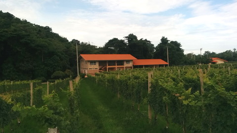 Gran Monte Guesthouse_01