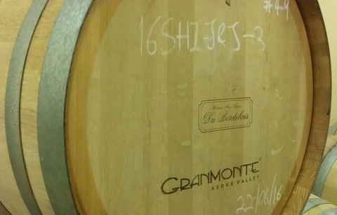 Tour of GranMonte Vineyard (6)