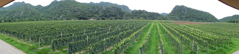 GranMonte asoke valley_01