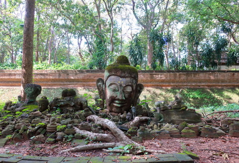 Thailand_Chiang Mai_Wat Umong_Buddhist temple_D2-1
